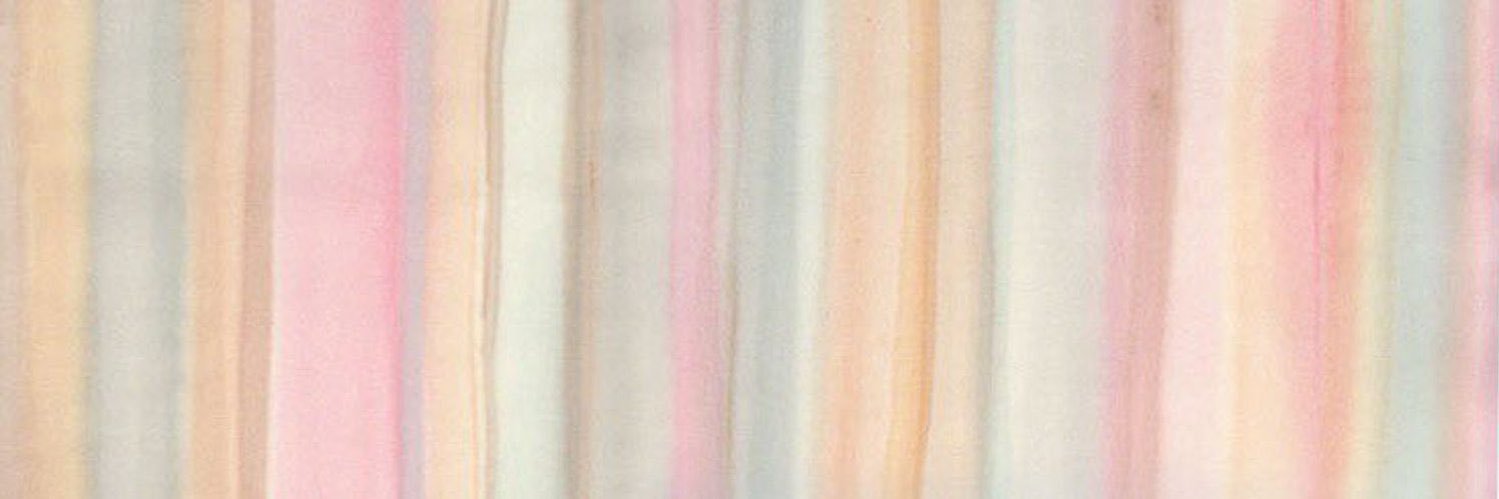 shabbychiec's profile banner image