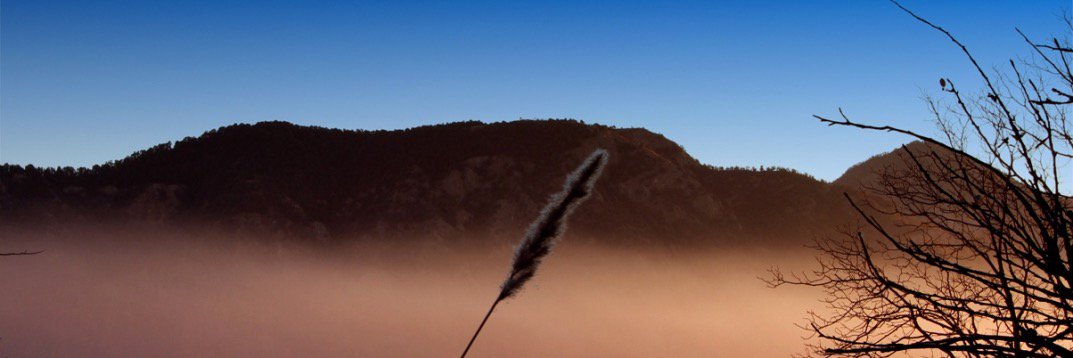 Janecraggsyoga's profile banner image