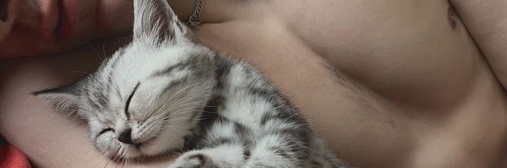 luci70558's profile banner image