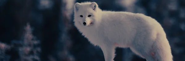 xsiL_d's profile banner image