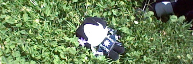 Ferretkinz's profile banner image