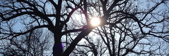 terrisuda's profile banner image