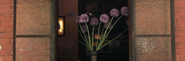 More. banner