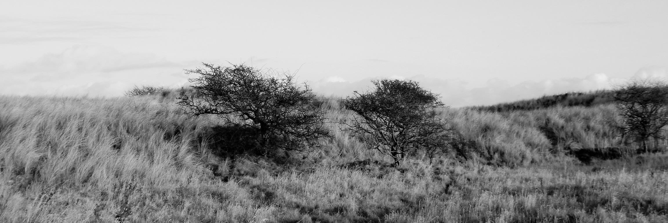 Kel_mac88's profile banner image