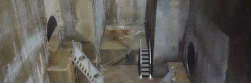 koi / shin. backup banner