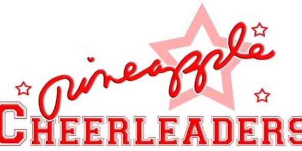 pineapplecheer's profile banner image