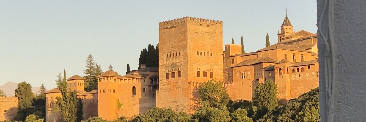 fidevirtus's profile banner image