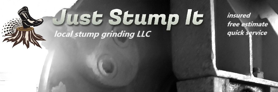 Just Stump It banner