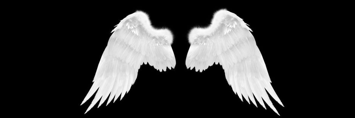 SEPTRO banner