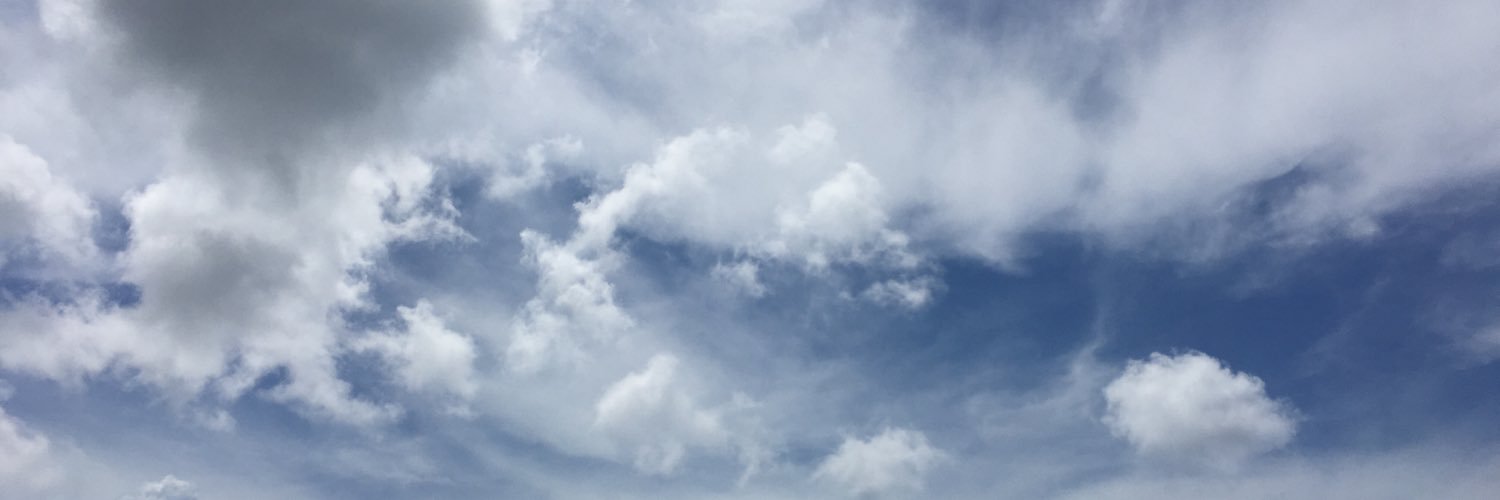 edychenz___'s profile banner image