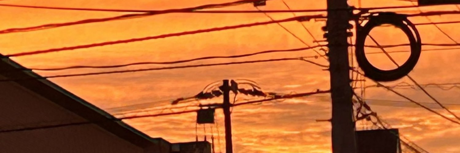 那月（なつき） banner