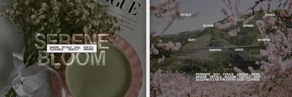 tracedegrace Profile Banner