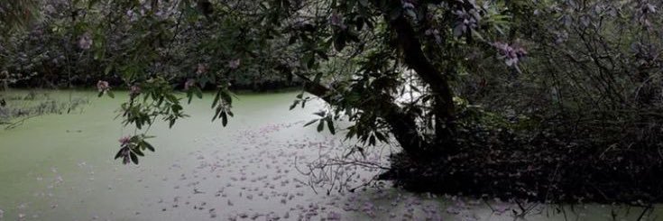 eieG🦭²⁶ 💙 FITB banner