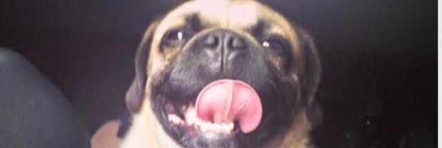evesxx's profile banner image