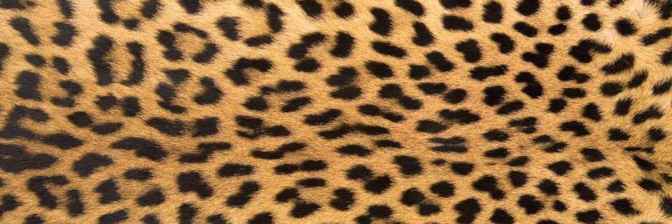 Ms_Ellen_Marie's profile banner image