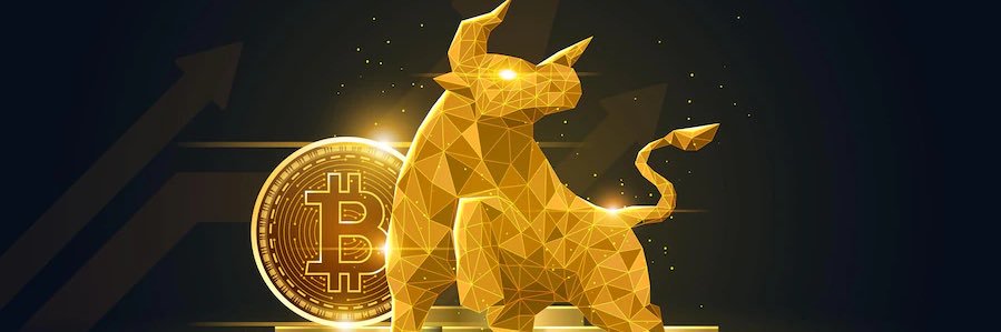 victory_K9's profile banner image
