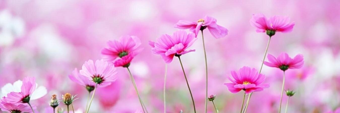 Wanty_9404's profile banner image