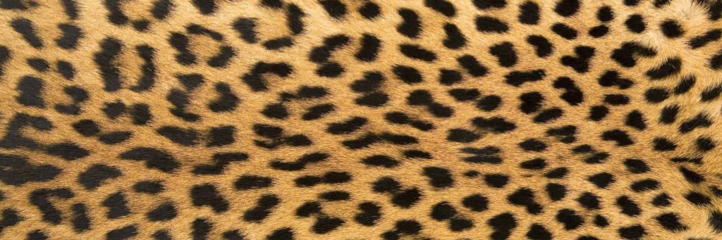 JessCulshaw's profile banner image