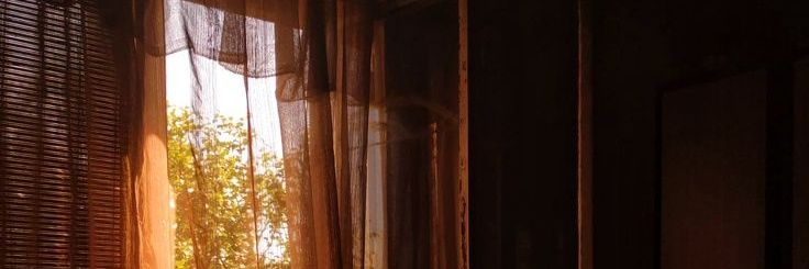𝚗𝚎𝚟𝚊 banner