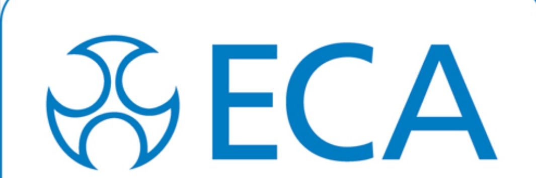 neselec's profile banner image