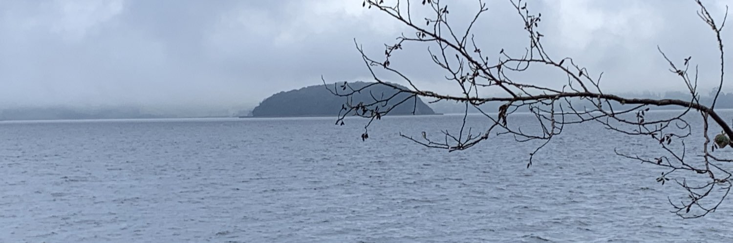 Analucia Zarama banner