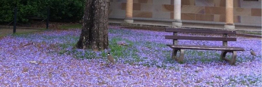 Febi Angelica Rivera banner