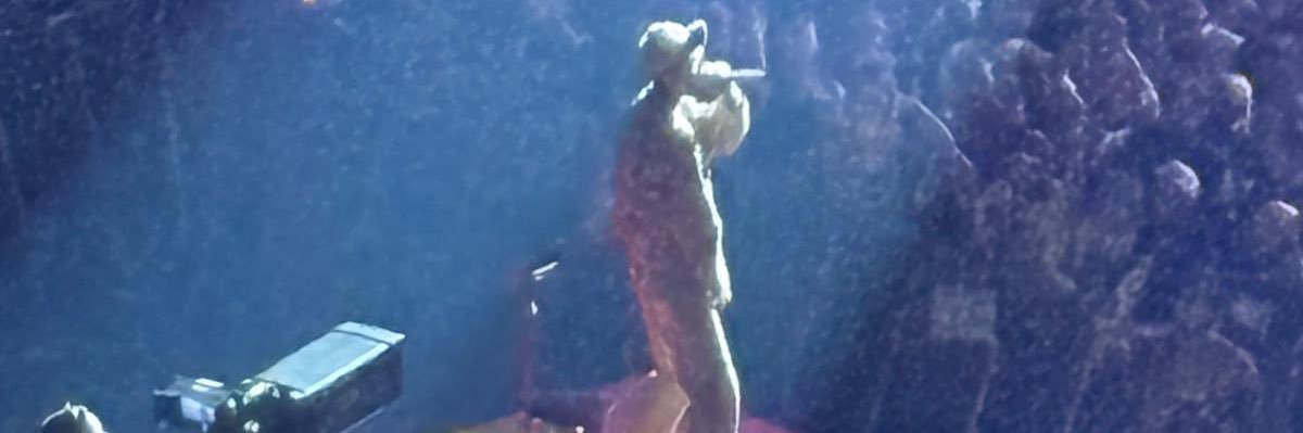 Debbie 🌻🌸🌼🌺☘️🌈 banner