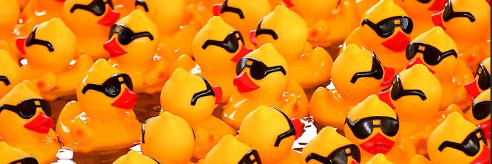 ❤️ FizzyDuck ❤️ banner