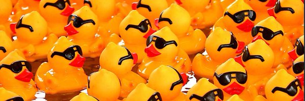 FizzyDuck Profile Banner
