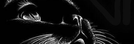 Pamy0685's profile banner image