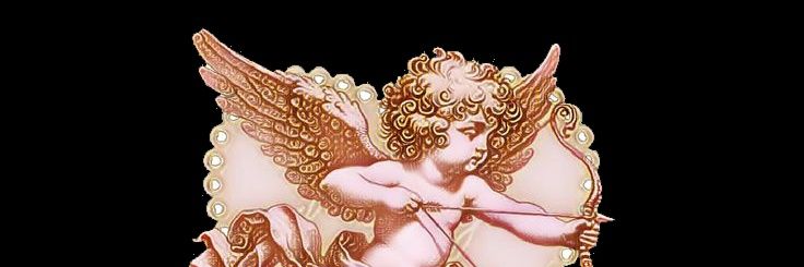angel6 banner