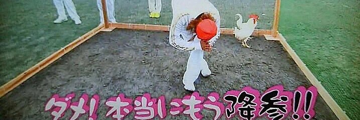 しま banner