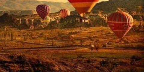 Brunnr's profile banner image