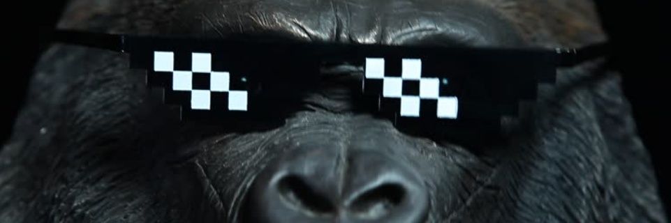 ゴリラBuzz🦍 banner