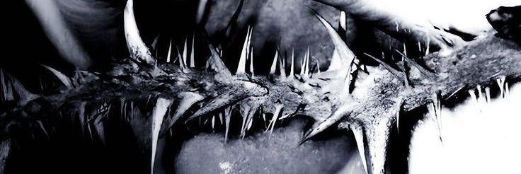f banner