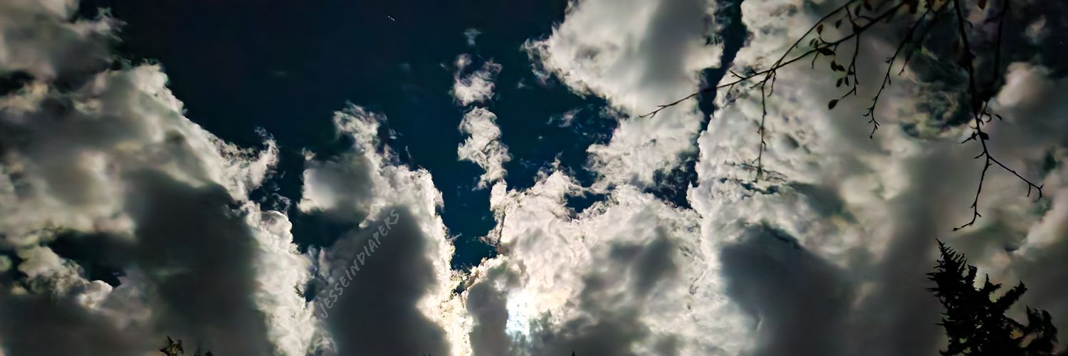 Pinecones And Diapers banner