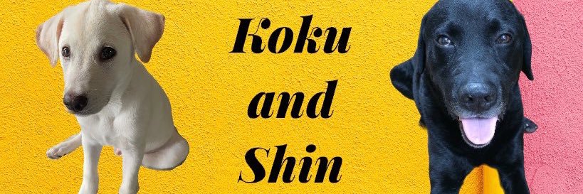 isinoyui's profile banner image