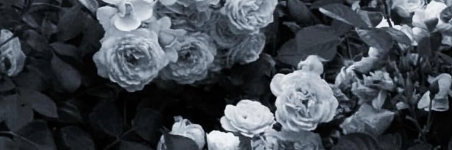 nobarakurase's profile banner image