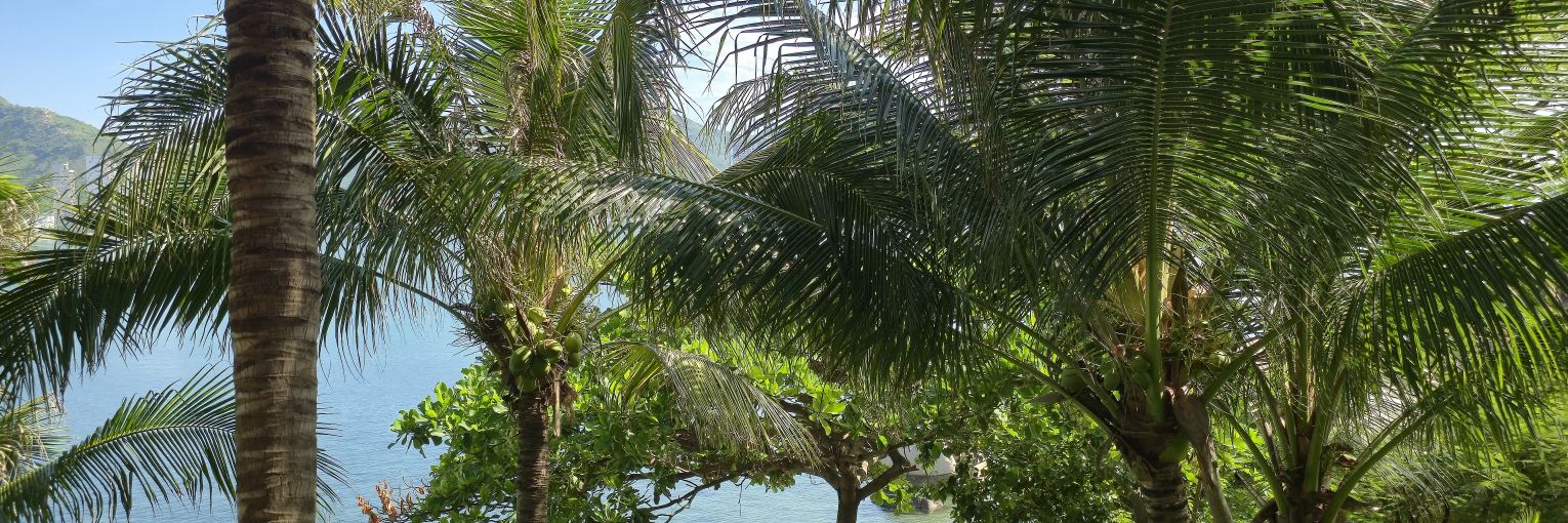 vc nha trang banner