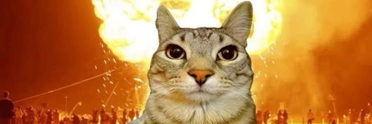 traideplowkeyy_'s profile banner image