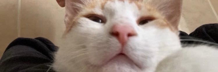 uLTeaRbrr's profile banner image
