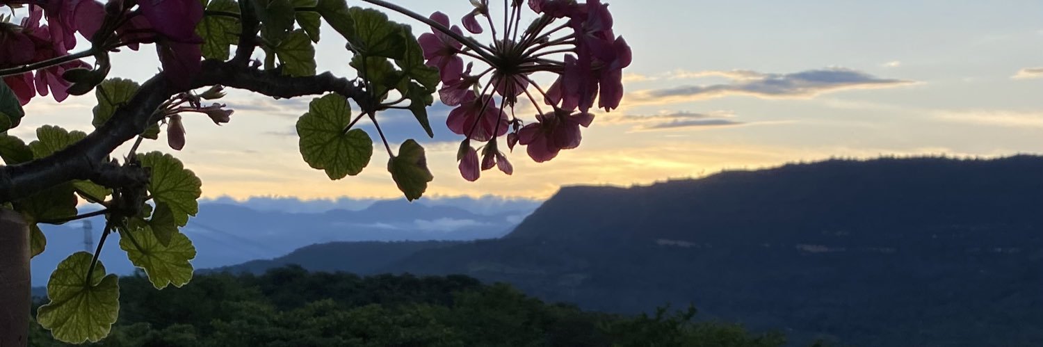 parritaca's profile banner image