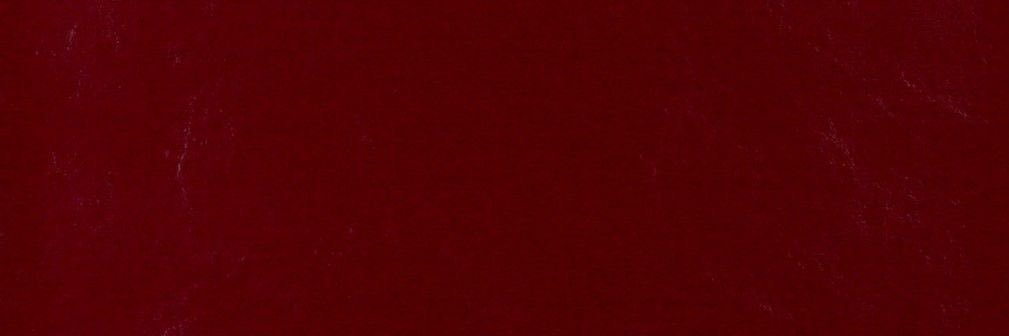 MaferMartinn's profile banner image