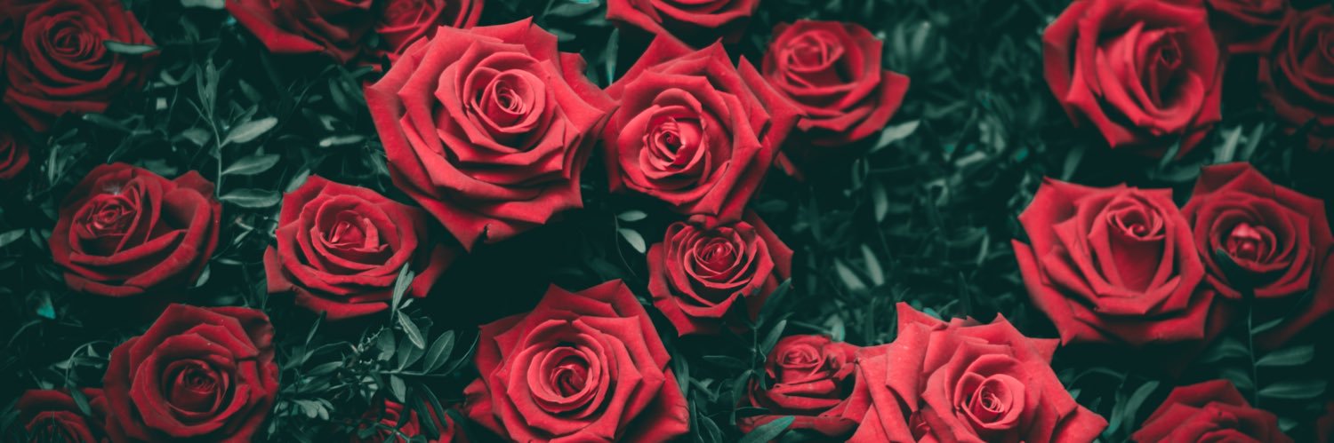 ˙˚ʚLuaɞ˚˙ banner