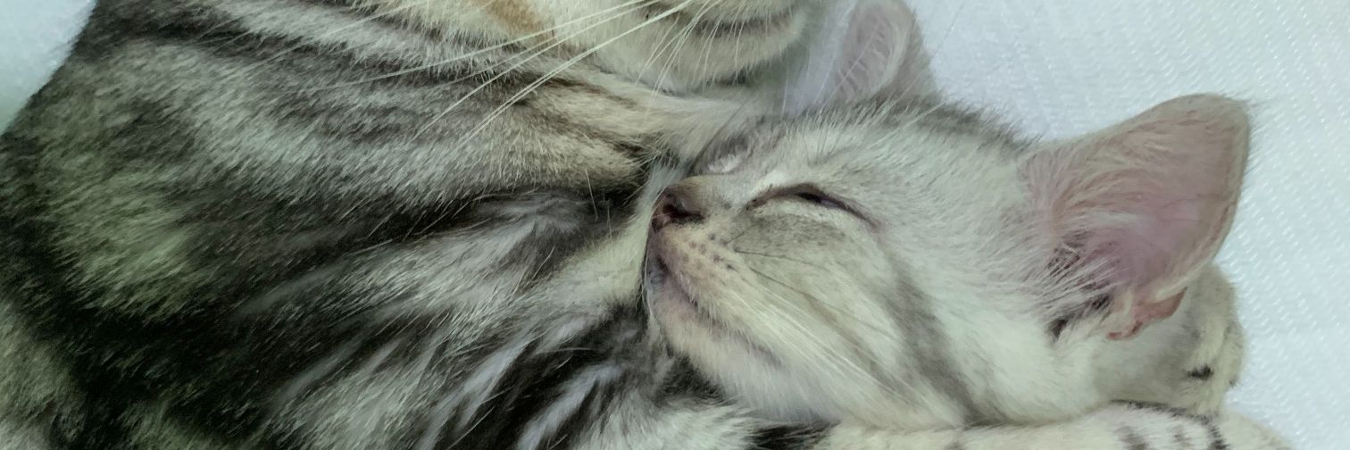 Club_X888's profile banner image