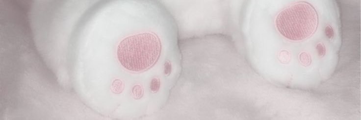 s banner