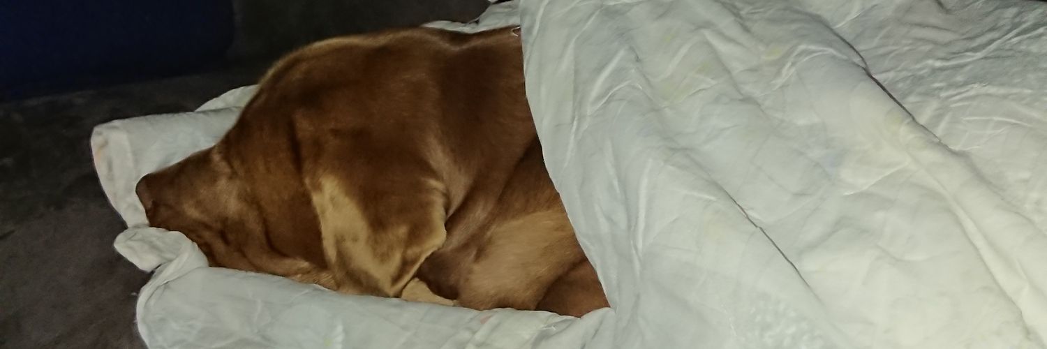 carldraper's profile banner image