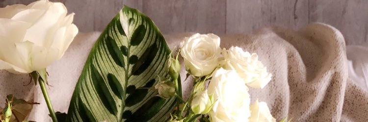 b1d2's profile banner image