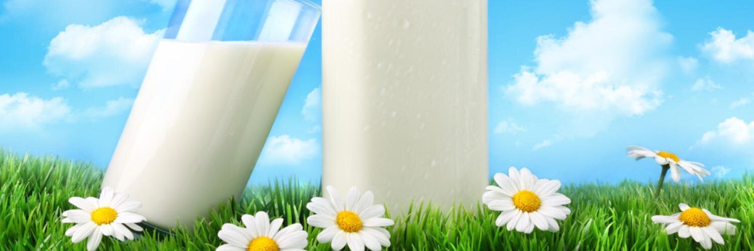 NO_DAIRY's profile banner image