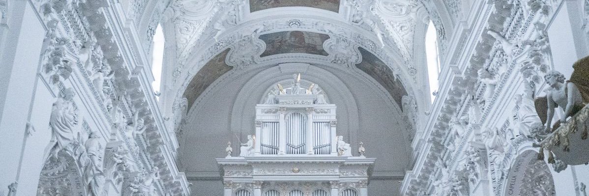 countlessdzmber's profile banner image